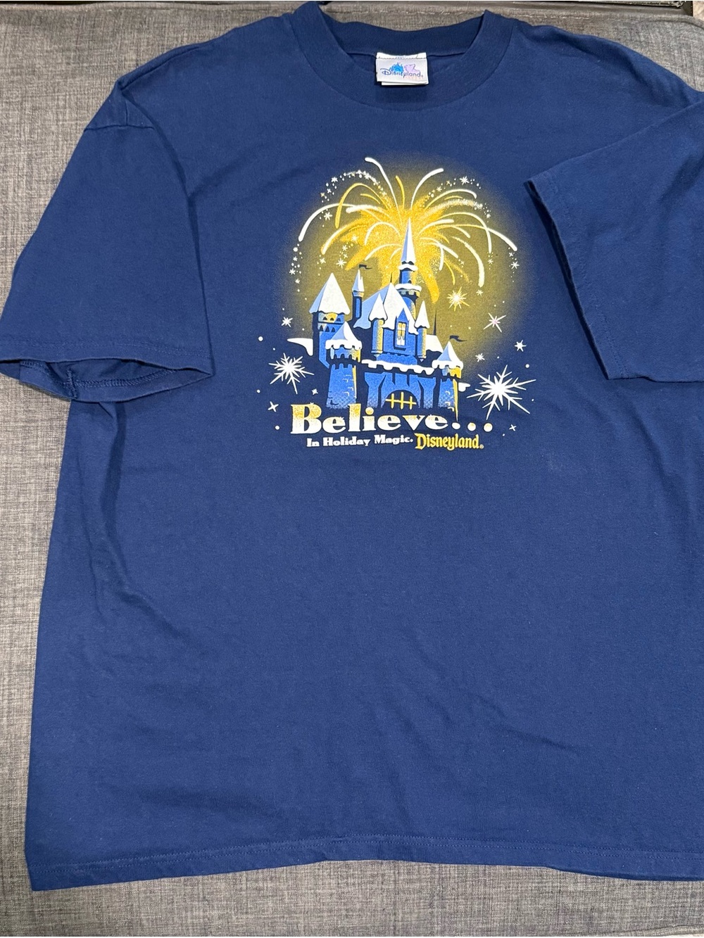 Disney ‘Believe' Castle Graphic Tee
